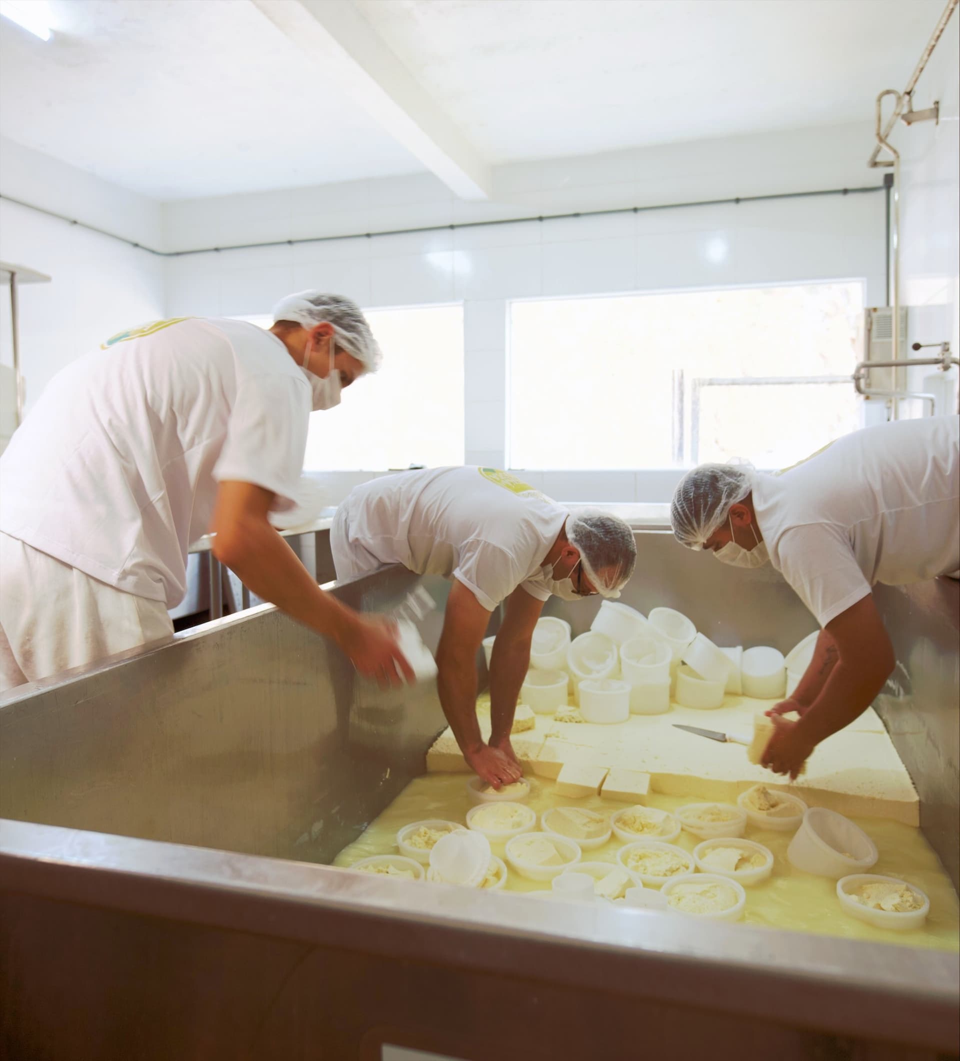 Equipe enformando a massa do queijo no tanque de inox