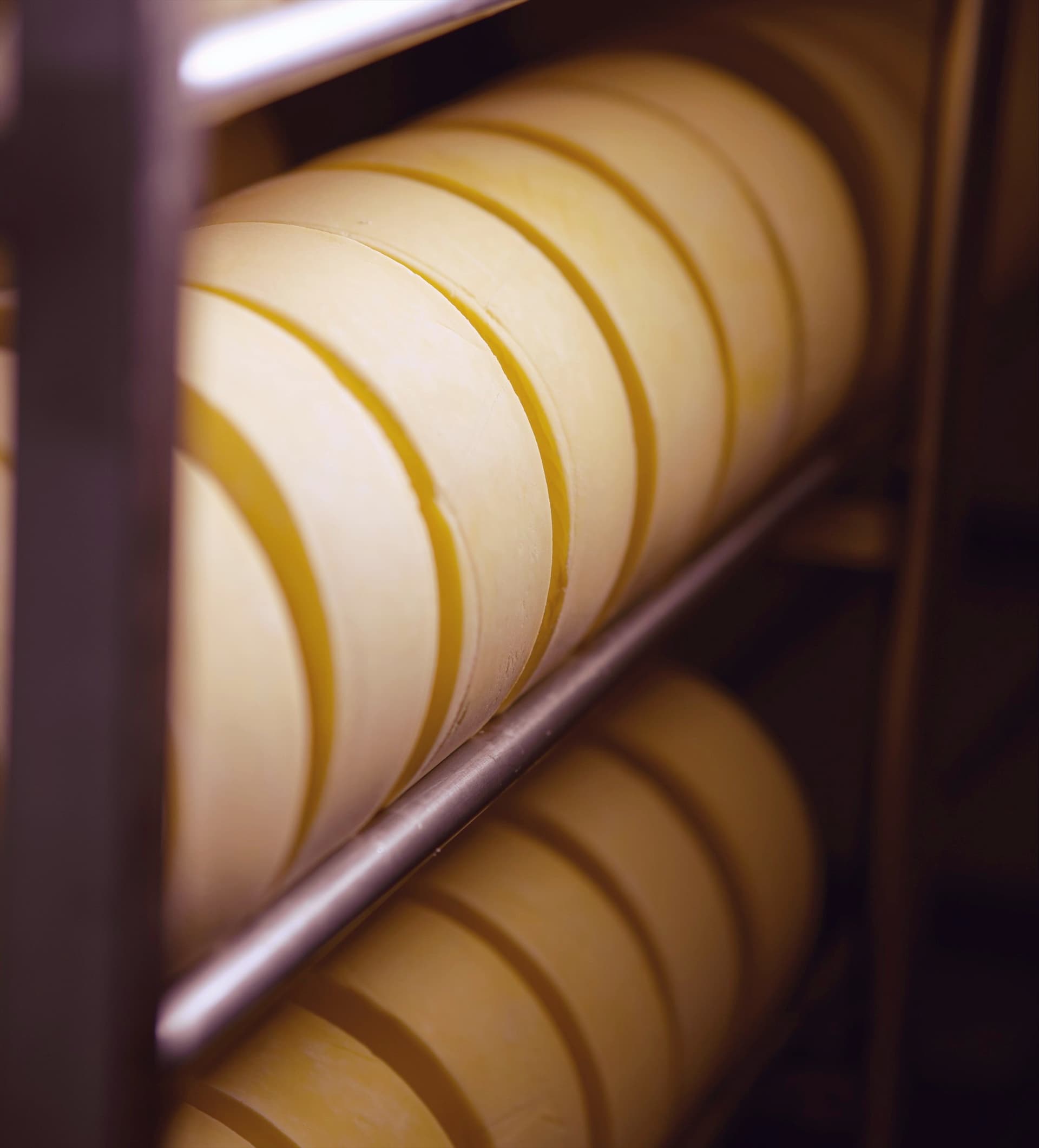 Peças de queijo na prateleira de maturação