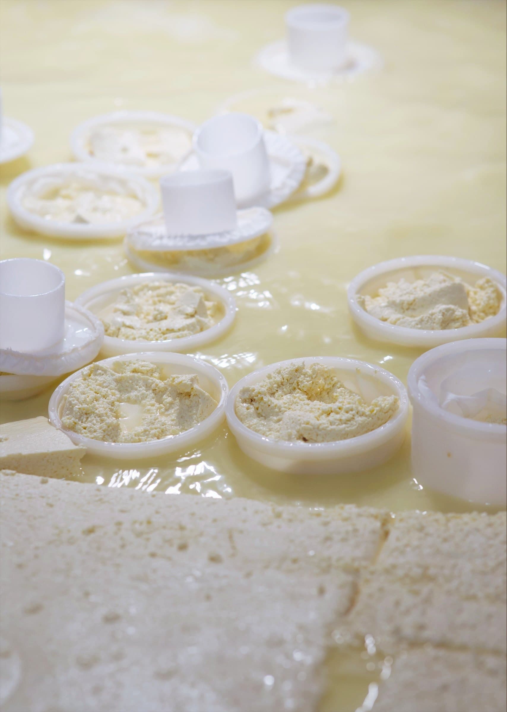 Massa do queijo nas formas sobre o soro