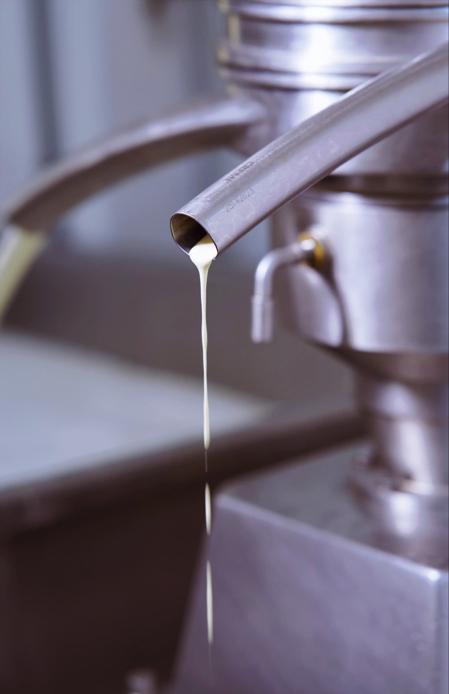 Leite escorrendo da torneira de inox para o tanque
